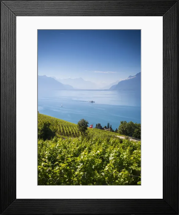 Framed Print : Vineyards above Vevey, Lake Geneva, Vaud, Switzerland