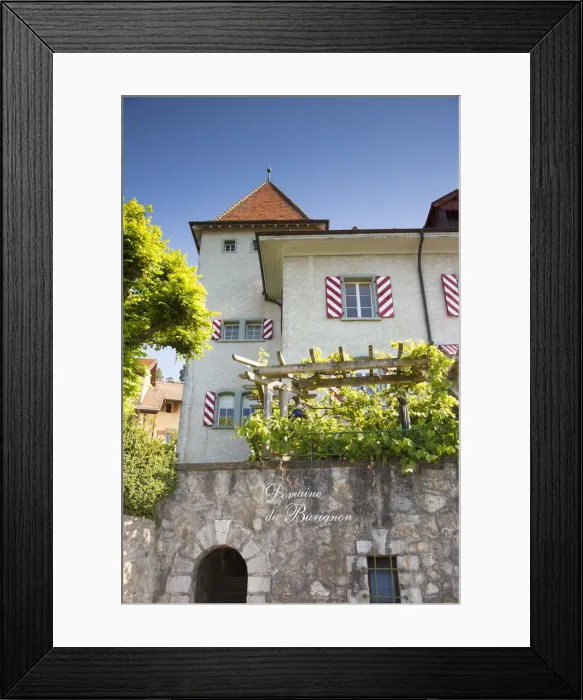 Framed Print : Winery and Vineyards above Vevey, Lake Geneva, Vaud, Switzerland Framed Print : Winery and Vineyards above Vevey, Lake Geneva, Vaud, Switzerland