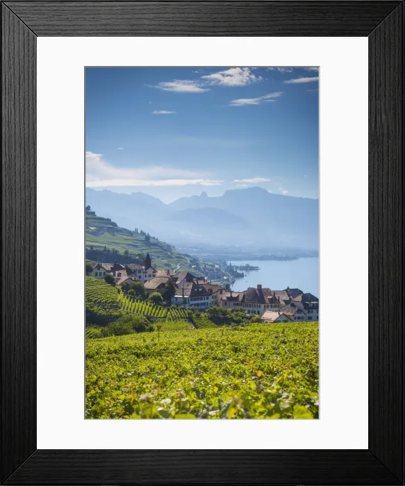 Framed Print : Vineyards above Vevey, Lake Geneva, Vaud, Switzerland Framed Print : Vineyards above Vevey, Lake Geneva, Vaud, Switzerland
