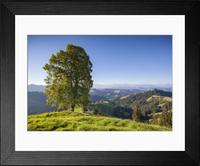 Framed Print : Emmental Valley, Berner Oberland, Switzerland Framed Print : Emmental Valley, Berner Oberland, Switzerland