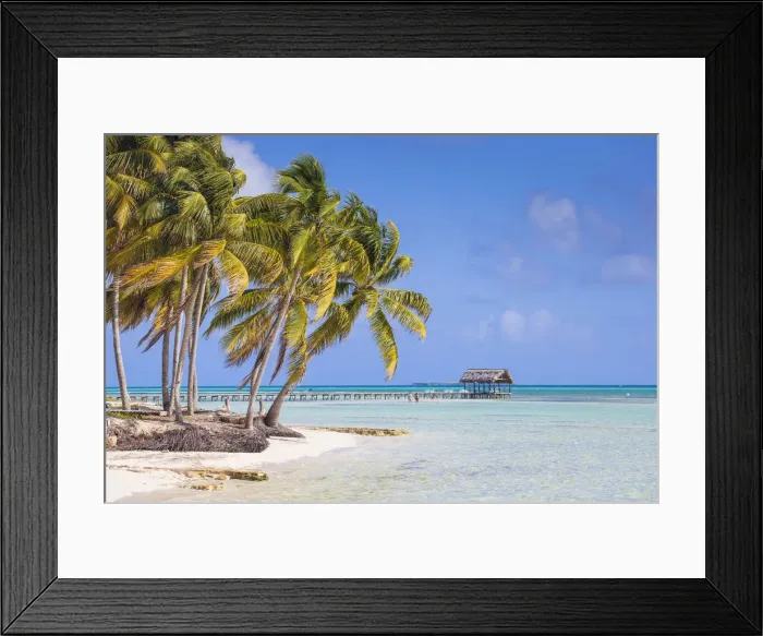 Framed Print : Cuba, Jardines del Rey, Cayo Guillermo, Playa El Paso, Palm trees on white sand beach Framed Print : Cuba, Jardines del Rey, Cayo Guillermo, Playa El Paso, Palm trees on white sand beach
