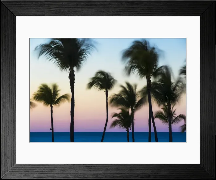 Framed Print : Cuba, Varadero, Palm trees on Varadero beach at sunset Framed Print : Cuba, Varadero, Palm trees on Varadero beach at sunset