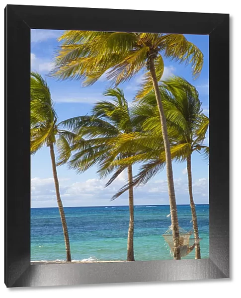 Cuba, Holguin Province, Hammock between palm trees on Playa Guardalvaca