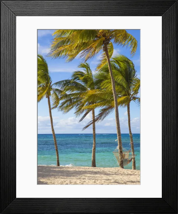 Framed Print : Cuba, Holguin Province, Hammock between palm trees on Playa Guardalvaca Framed Print : Cuba, Holguin Province, Hammock between palm trees on Playa Guardalvaca