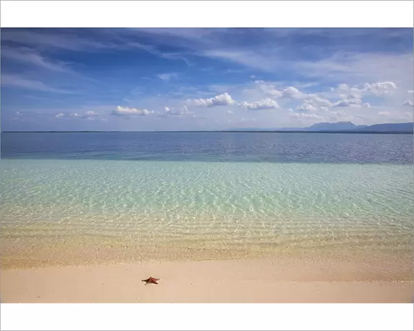 Cuba, Pinar del Rio Province, Cayo Levisa, Starfish on white sand beach