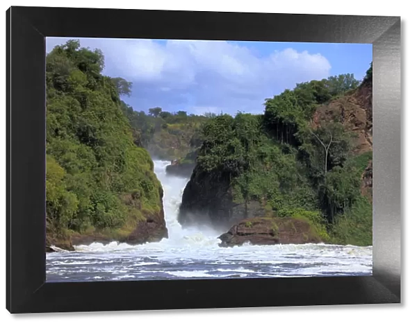 Murchison Falls national park, Uganda, East Africa