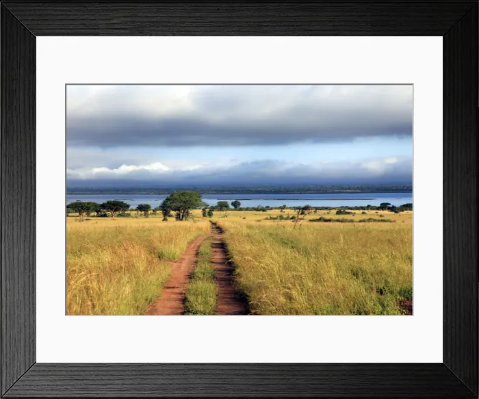 Framed Print : Landscape, Murchison Falls national park, Uganda, East Africa Framed Print : Landscape, Murchison Falls national park, Uganda, East Africa