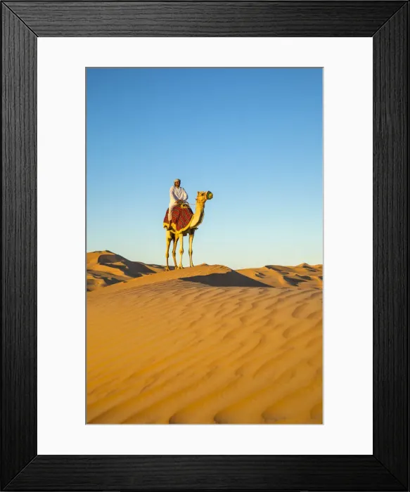 Framed Print : Camel in the Empty Quarter (Rub Al Khali), Abu Dhabi, United Arab Emirates Framed Print : Camel in the Empty Quarter (Rub Al Khali), Abu Dhabi, United Arab Emirates