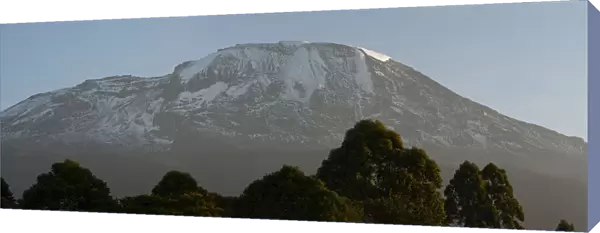 Mount Kilimanjaro panorama with trees in front, from Tanzania