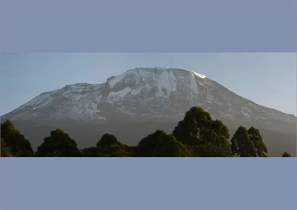 Mount Kilimanjaro panorama with trees in front, from Tanzania