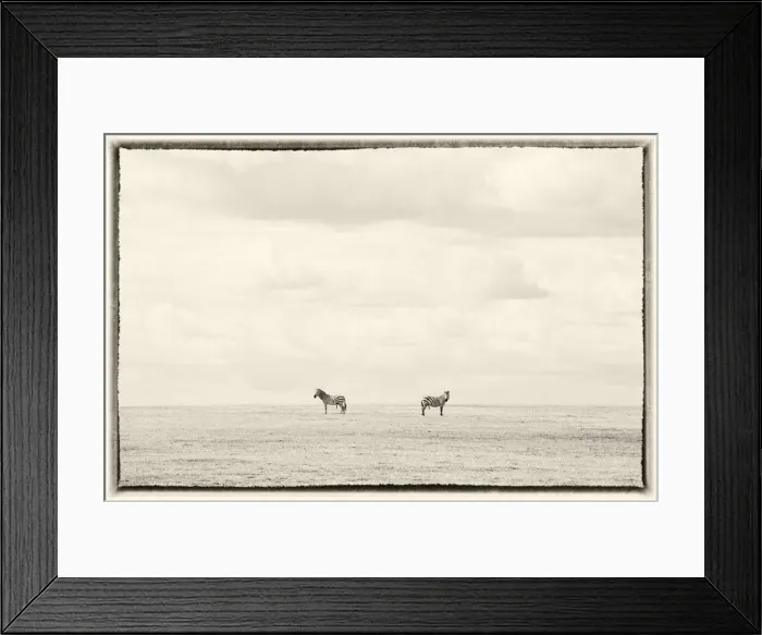 Framed Print : Two zebras on horizon, Serengeti, Tanzania Framed Print : Two zebras on horizon, Serengeti, Tanzania