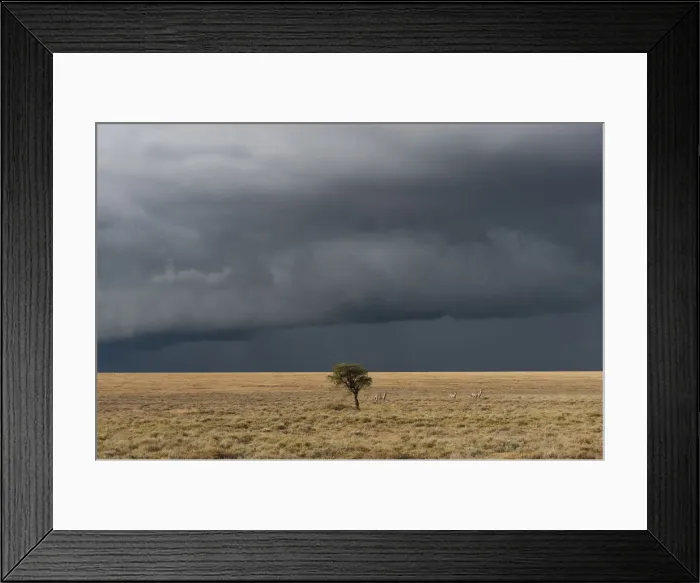 Framed Print : Lone tree on horizon with stormy sky in background Framed Print : Lone tree on horizon with stormy sky in background