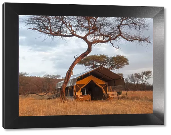 A classic safari tent at dawn on the African plains, Tanzania