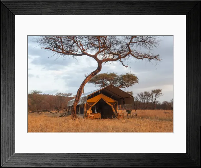 Framed Print : A classic safari tent at dawn on the African plains, Tanzania Framed Print : A classic safari tent at dawn on the African plains, Tanzania