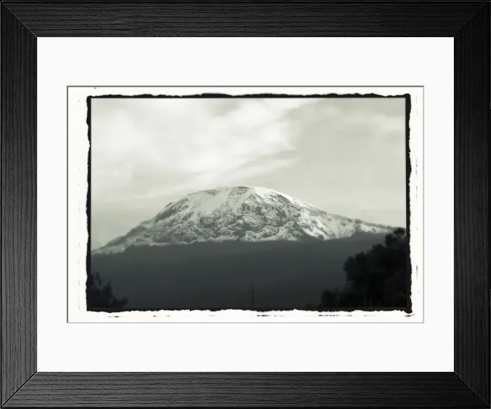 Framed Print : Mount Kilimanjaro with trees in front, from Tanzania Framed Print : Mount Kilimanjaro with trees in front, from Tanzania