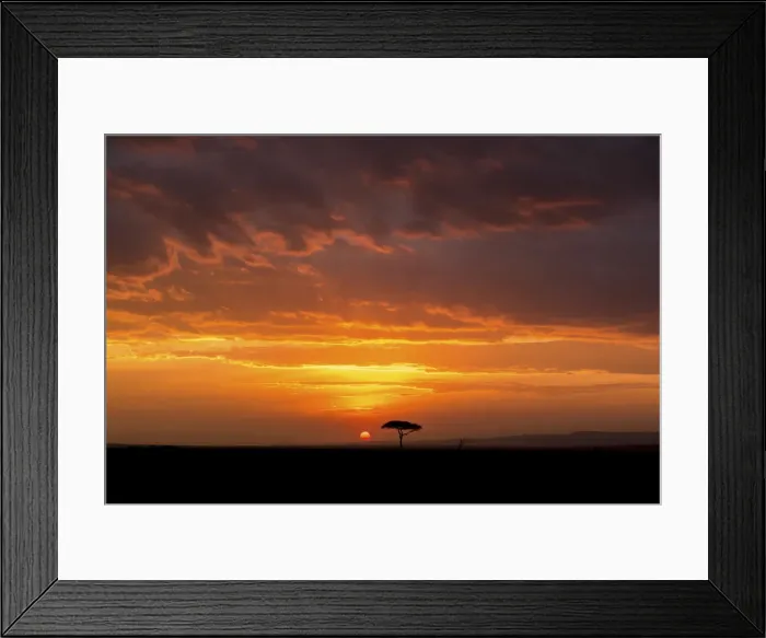 Framed Print : Big sky unrise with acacia tree, Serengeti, Tanzania, Africa Framed Print : Big sky unrise with acacia tree, Serengeti, Tanzania, Africa