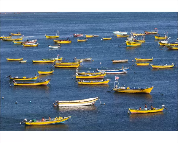 Chile, Tongoy, elevated view of fishing boats
