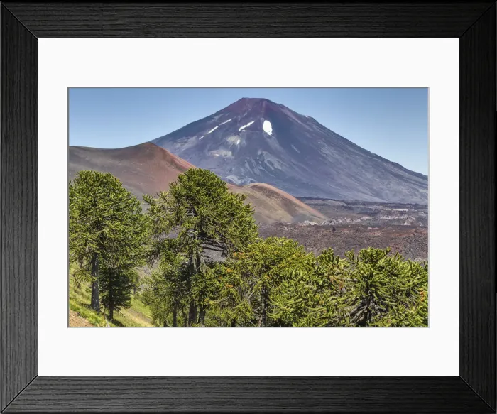 Framed Print : Lonquimay volcano, Reserva Nacional Malalcahuello-Nalcas, Araucania region, Chile Framed Print : Lonquimay volcano, Reserva Nacional Malalcahuello-Nalcas, Araucania region, Chile