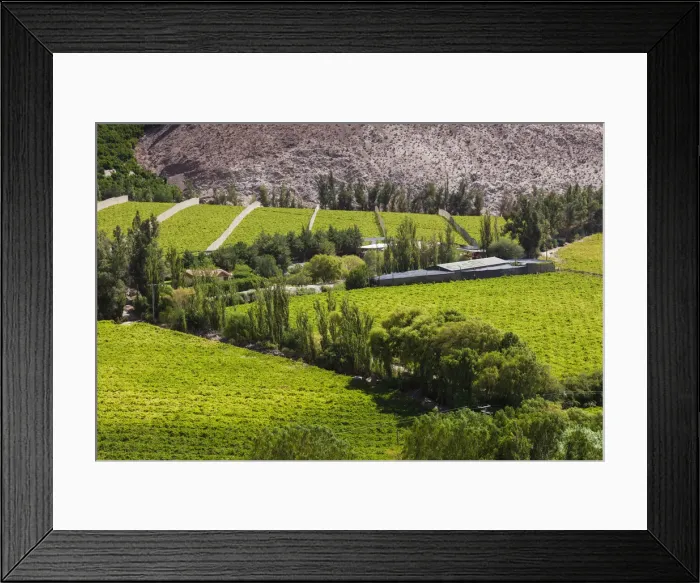 Framed Print : Chile, Elqui Valley, Rivadavia, valley view with fruit orchards Framed Print : Chile, Elqui Valley, Rivadavia, valley view with fruit orchards