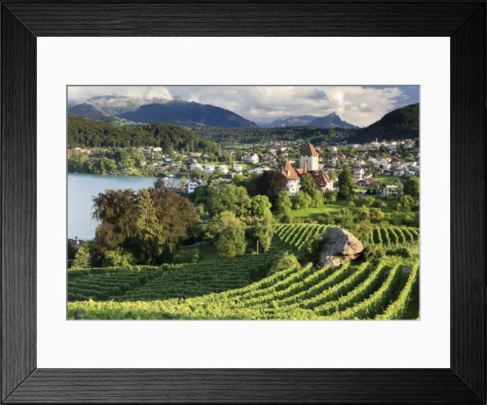 Framed Print : Switzerland, Bernese Oberland, Lake Thun, Spiez Castle Framed Print : Switzerland, Bernese Oberland, Lake Thun, Spiez Castle