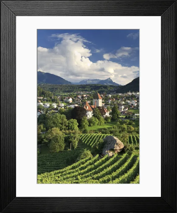 Framed Print : Switzerland, Bernese Oberland, Lake Thun, Spiez Castle Framed Print : Switzerland, Bernese Oberland, Lake Thun, Spiez Castle