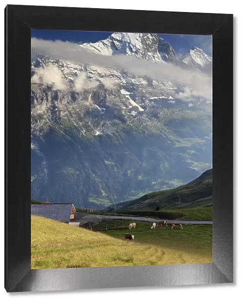 Switzerland, Bernese Oberland, Grindelwald, First