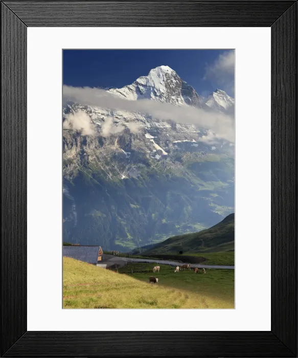 Framed Print : Switzerland, Bernese Oberland, Grindelwald, First Framed Print : Switzerland, Bernese Oberland, Grindelwald, First