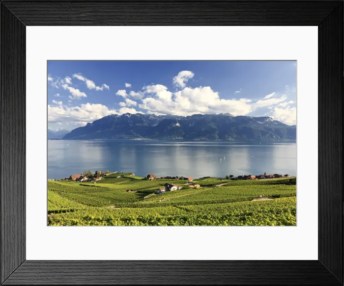 Framed Print : Switzerland, Vaud, Lavaux Vineyards, Rivaz Village and Lac Leman / Lake Geneva Framed Print : Switzerland, Vaud, Lavaux Vineyards, Rivaz Village and Lac Leman / Lake Geneva