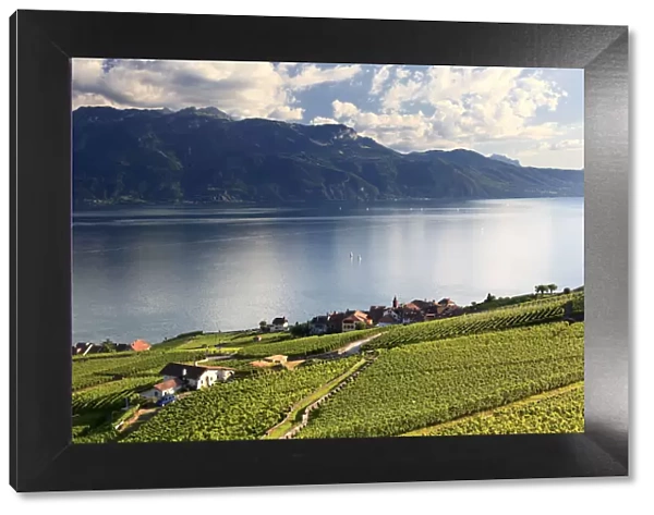 Switzerland, Vaud, Lavaux Vineyards, Rivaz Village and Lac Leman  /  Lake Geneva