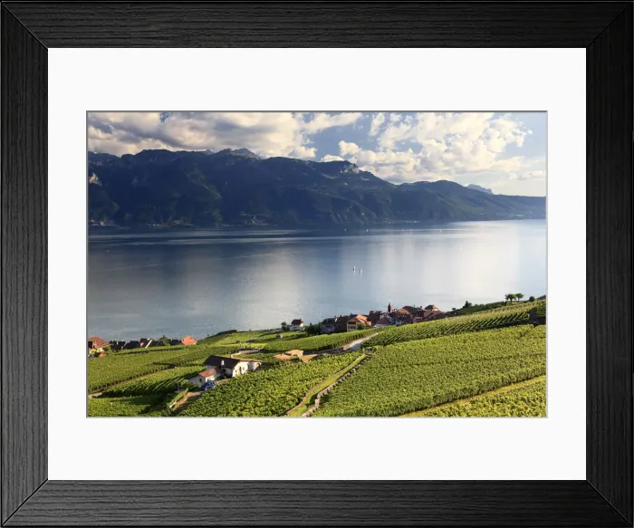 Framed Print : Switzerland, Vaud, Lavaux Vineyards, Rivaz Village and Lac Leman  /  Lake Geneva