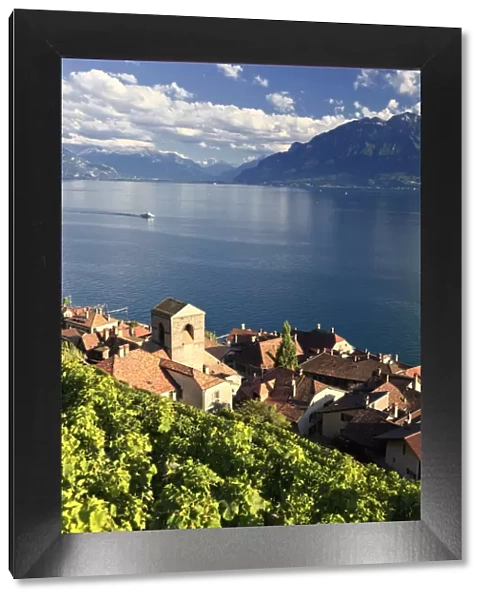 Switzerland, Vaud, Lavaux Vineyards, St. Saphorin Village and Lac Leman  /  Lake Geneva