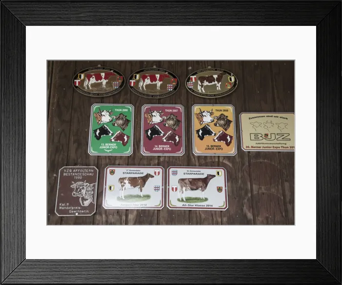 Framed Print : Best cow awards on the wall of a cowshed, Emmental Valley, Berner Oberland, Switzerland Framed Print : Best cow awards on the wall of a cowshed, Emmental Valley, Berner Oberland, Switzerland
