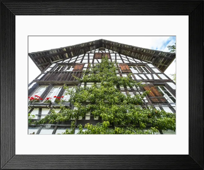 Framed Print : Chalet from the Zurich area, Swiss Open-Air Museum, Ballenberg, Berner Oberland Framed Print : Chalet from the Zurich area, Swiss Open-Air Museum, Ballenberg, Berner Oberland