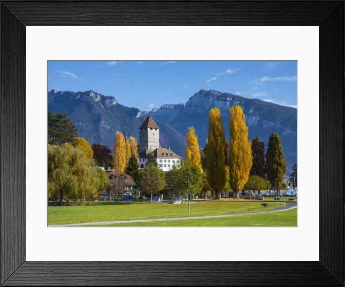 Framed Print : Speiz, Lake Thun, Berner Oberland, Switzerland Framed Print : Speiz, Lake Thun, Berner Oberland, Switzerland