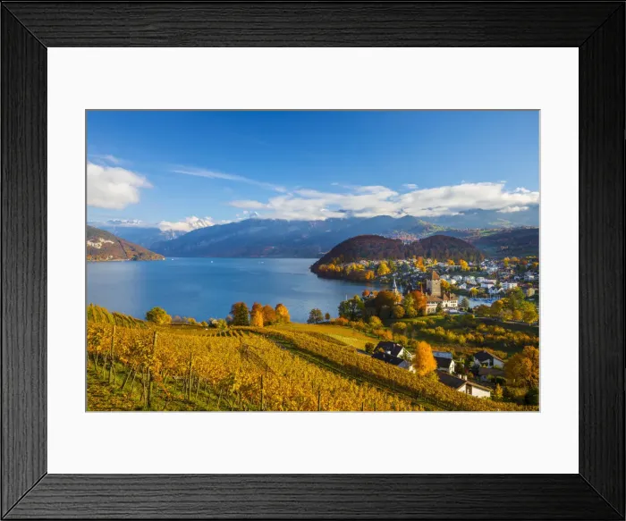 Framed Print : Spiez Castle and vineyards, Berner Oberland, Switzerland