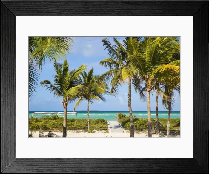 Framed Print : Cuba, Jardines del Rey, Cayo Guillermo, Playa El Paso, Palm trees in gardens of