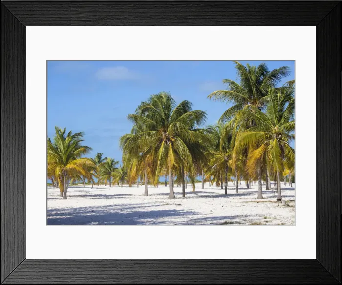 Framed Print : Cuba, Isla de la Juventud, Cayo Largo Del Sur, Playa Sirena Framed Print : Cuba, Isla de la Juventud, Cayo Largo Del Sur, Playa Sirena