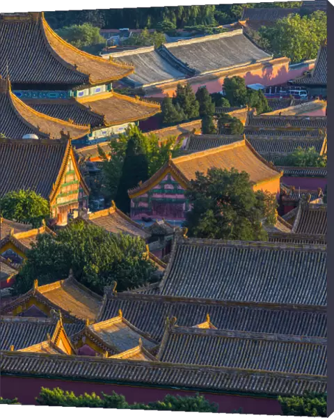 China, Beijing, Forbidden City, rooftops
