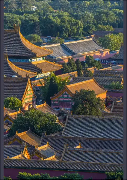 China, Beijing, Forbidden City, rooftops