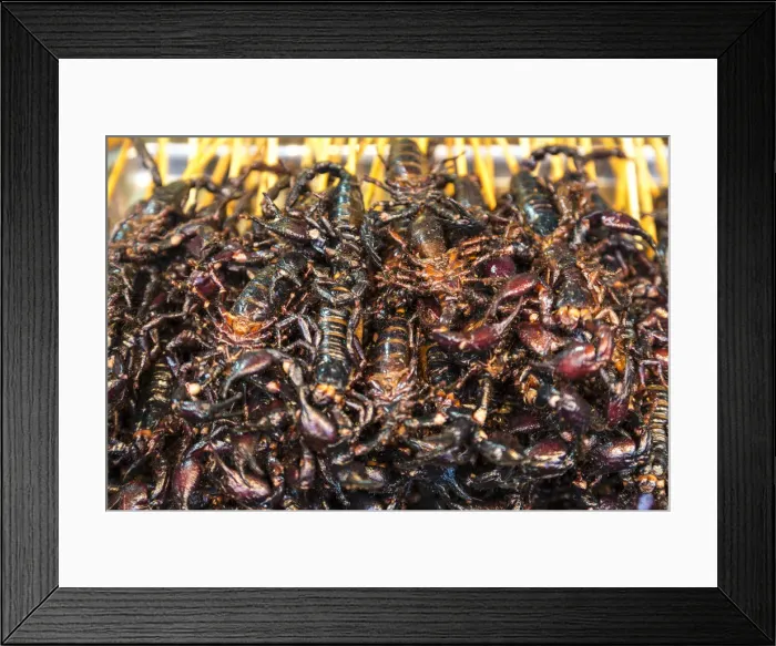 Framed Print : Scorpions on sticks, Donghuamen Night Market, Wangfujing, Beijing, China Framed Print : Scorpions on sticks, Donghuamen Night Market, Wangfujing, Beijing, China