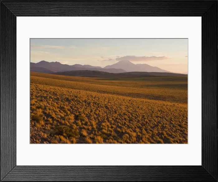 Framed Print : Chile, Norte Grande, Antofagasta Region, Atacama desert, Los Flamencos National Reserve