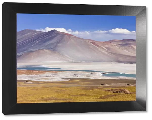 Chile, Norte Grande, Antofagasta Region, Atacama desert, Los Flamencos National Reserve