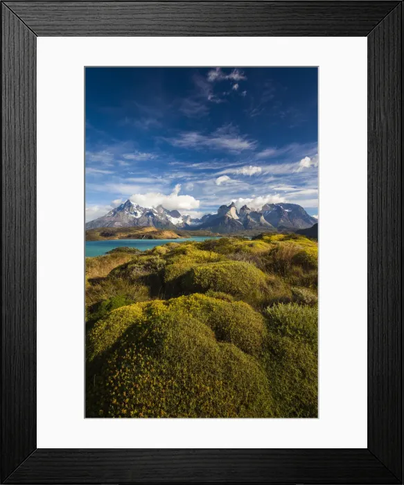 Framed Print : Chile, Magallanes Region, Torres del Paine National Park, Lago Pehoe, morning landscape