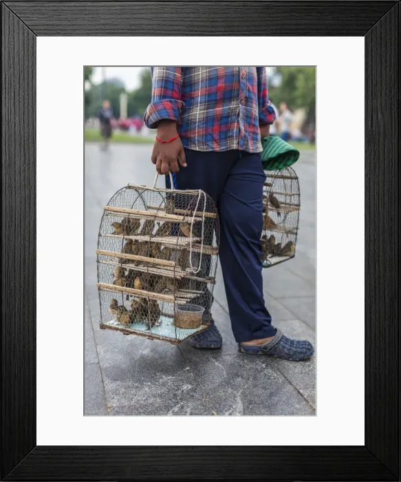Framed Print : Cambodia, Phnom Penh, vendor with wishing birds, buy a bird, make a wish and set him free Framed Print : Cambodia, Phnom Penh, vendor with wishing birds, buy a bird, make a wish and set him free