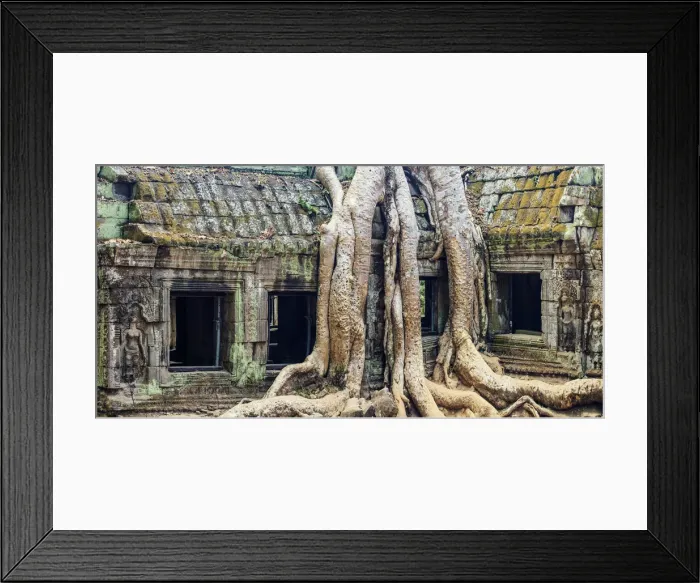 Framed Print : Cambodia, Temples of Angkor (UNESCO site), Ta Prohm Framed Print : Cambodia, Temples of Angkor (UNESCO site), Ta Prohm