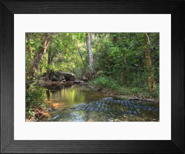 Framed Print : Cambodia, Temples of Angkor (UNESCO site), Kbal Spean, riverbed carving of Lingas Framed Print : Cambodia, Temples of Angkor (UNESCO site), Kbal Spean, riverbed carving of Lingas