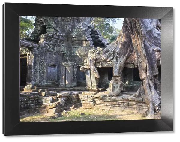 Cambodia, Temples of Angkor (UNESCO site), Preah Khan Temple