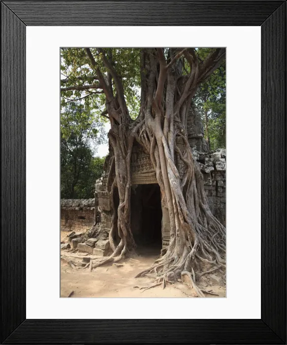 Framed Print : Cambodia, Temples of Angkor (UNESCO site), Ta Som Temple Framed Print : Cambodia, Temples of Angkor (UNESCO site), Ta Som Temple