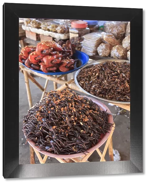 Cambodia, Skuon, Local Market, fried Insects for sales