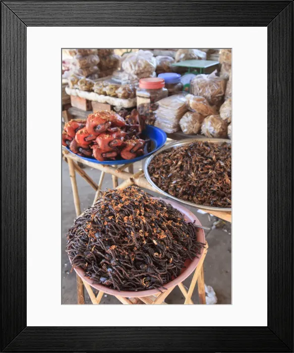 Framed Print : Cambodia, Skuon, Local Market, fried Insects for sales Framed Print : Cambodia, Skuon, Local Market, fried Insects for sales